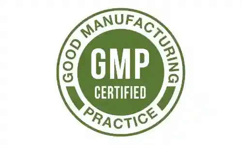 Flash Burn GMP Certified badge